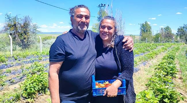 Şehir hayatına veda edip, köyde çilekle yeni bir hayat kurdular: Girişimci çiftin ilham veren hikayesi