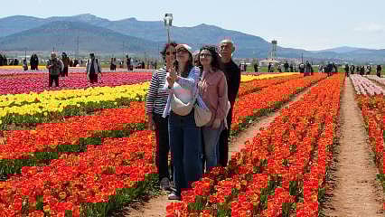 Detaylar: Objektifler bu bahçeye çevrildi: Karaman'da görsel şölen