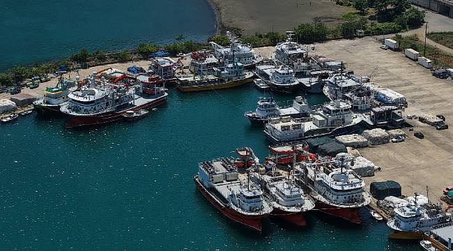 Karadeniz'de ağlar örüldü, tekneler boyandı: Balıkçılarda "Palamut" umudu