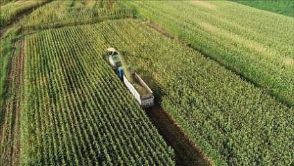 Detaylar: Tarım arazilerinin korunmasına ilişkin yeni yönetmelik yürürlüğe girdi