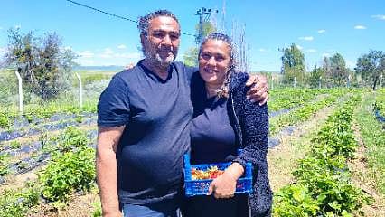 Şehir hayatına veda edip, köyde çilekle yeni bir hayat kurdular: Girişimci çiftin ilham veren hikayesi