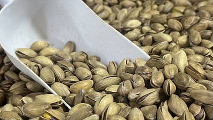 66 ülkenin sofrasını Türk fıstığı süsledi: Zirvede hangi ülke var?