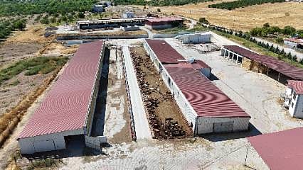 Yüksek maliyetlere rağmen üretmekten vazgeçmiyor