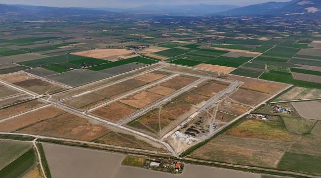 Türkiye dünyaya öncü olmaya hazırlanıyor: İlaç ve kozmetik için tıbbi kenevir üssü kuruluyor