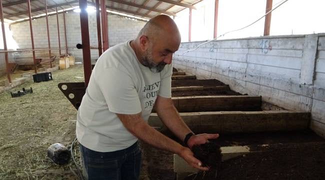 Toprağı kurtarmak için yola çıktı, şimdi yılda 5 ton organik gübre üretiyor