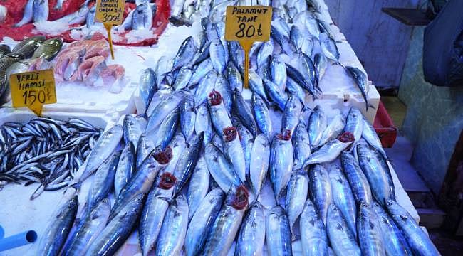 O balık türünde bolluk var: Balıkçılar "O sene bu sene" diyor