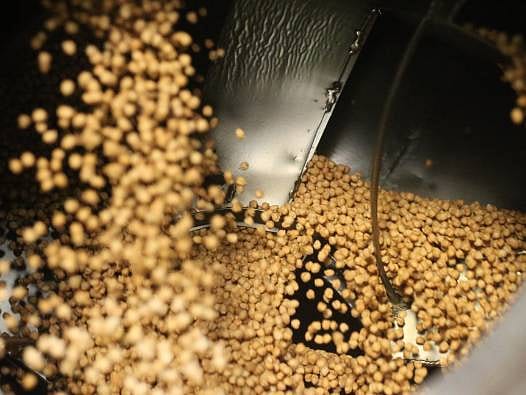 Günler süren zahmet, asırlık lezzet: Tavşanlı leblebisi Avrupa ve Orta Doğu pazarında