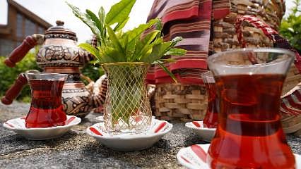Detaylar: Rize'de çay sezonu açıldı: İlk hasat Dünya Çay Günü'nde yapıldı