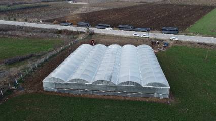 Devlet desteğiyle sera kurdular: "Burada Olmaz" diyenlere inat başardılar