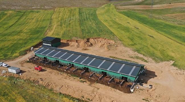 400 bin Euro'luk hibe hayalini gerçeğe dönüştürdü