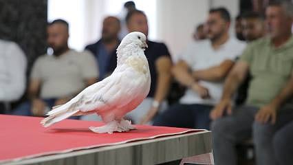 Anadolu'da yetiştiriliyor, çok ender bulunuyor: En pahalısı 5 milyon TL