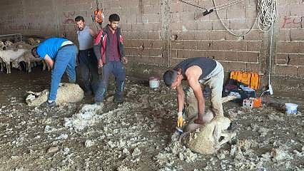 Genel müdür maaşını bile solladı: Bu mesleği yapanlar ayda en az 250 bin TL kazanıyor