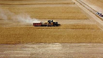 Çiftçilerin hesabına bugün ödeme yapılacak: İşte kalem kalem destek tutarları