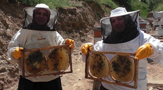 Gelin-görümcenin arıcılık başarısı: 5 kovandan 100 kovana ulaştılar