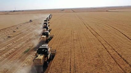 TİGEM binlerce ton tahıl ve narenciyeyi satışa çıkardı: İhale gelecek ay