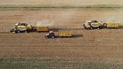 TMO hububat satışlarına devam ediyor: Kasım'da 5,5 milyon tonluk satış yapılacak