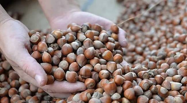 Ticaret Bakanlığı, fındık piyasasına yönelik denetim başlattı