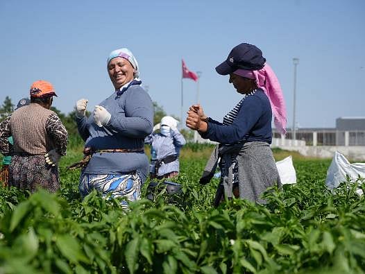 35 derece sıcaklıkta çalışma şekilleri şaşırttı: O ürünü oyun havasıyla topluyorlar