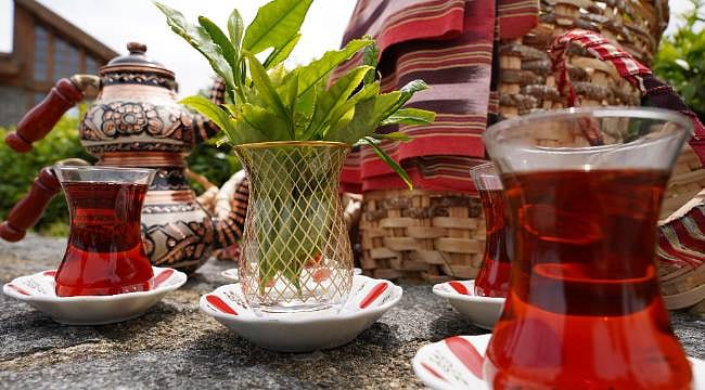 Rize'de çay sezonu açıldı: İlk hasat Dünya Çay Günü'nde yapıldı