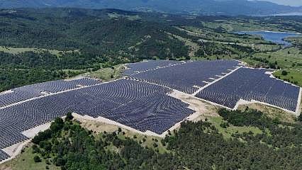 Hem enerji hem tarım: Ladik GES'te tıbbi aromatik bitki dönemi
