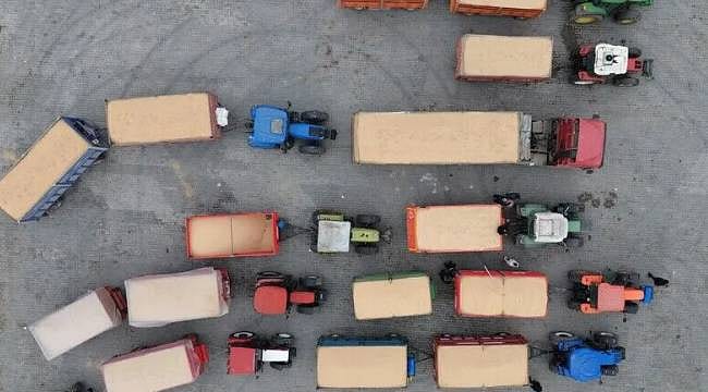Üreticilere 170 milyar liralık ödeme: Hasat sezonunda TMO rekor kırdı