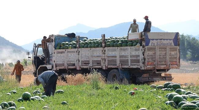 Bilecik'in tescilli lezzeti Türkiye'nin dört bir yanına gönderiliyor
