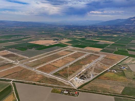 Türkiye dünyaya öncü olmaya hazırlanıyor: İlaç ve kozmetik için tıbbi kenevir üssü kuruluyor