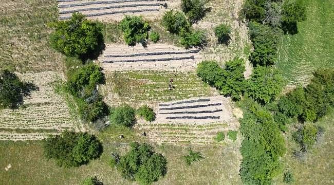 OGM'den orman köylüsüne 3,3 milyar lira destek