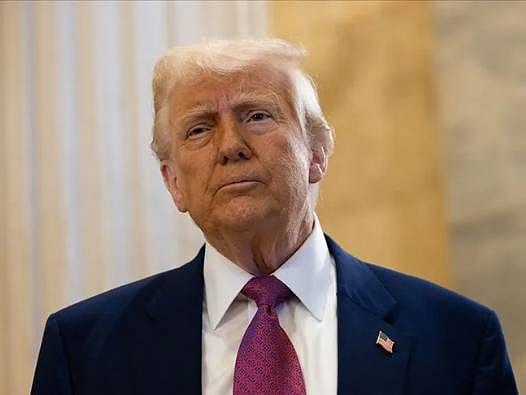 Anket sonucu: Trump'ın Kanada tarifelerine iki ülkeden de destek çıkmadı