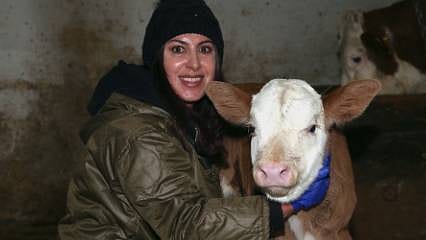 Devlet desteğiyle kendi işinin patronu oldu: Sürüsünü 3 yılda 4 katına çıkardı