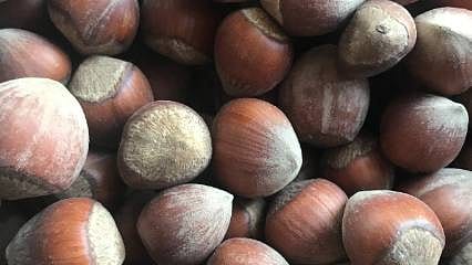 Miktar düştü ama gelir katlandı: Fındık ihracatında birim değer artışı