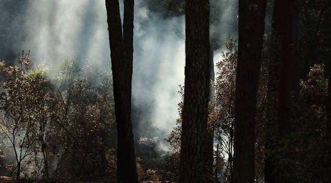 Fransa tarihinin en zor yangın sezonu, ordu devrede: Ekonomik kayıp ise rekor seviyede