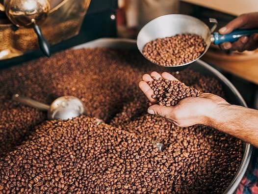 Kahve fiyatlarında yüzde 28'lik erime: Kasım 2024'ten bu yana en düşük seviye! Kahve fiyatları neden düşüyor?