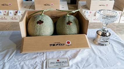 Japonya'da dudak uçuklatan açık artırma: 1 çift kavun 36 bin 500 dolara alıcı buldu