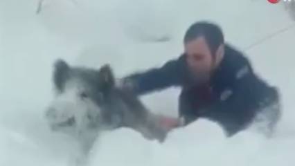 Eliyle yakaladığı yavru domuz başına dert oldu: Binlerce lira ceza kesildi