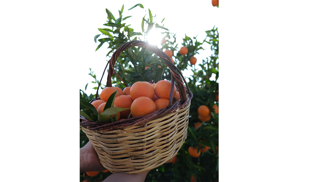 “Termal turizmde hedef 10 milyar dolar”-1