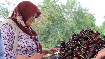 ABD ve Avrupa’nın yeni trendi Türkiye’den gidiyor: 20 bin tonluk ihracat