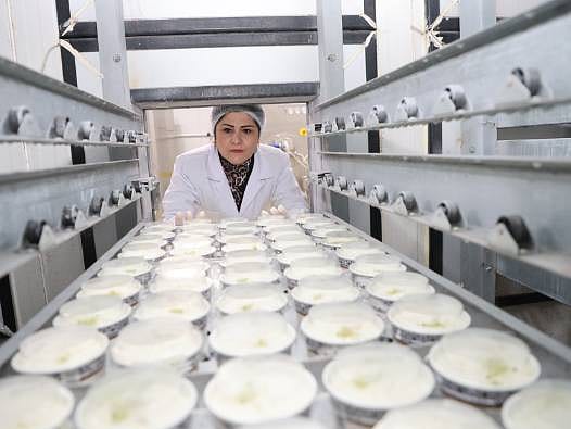 Tekstili bıraktı, devlet desteğiyle dondurmada kendi markasını kurdu