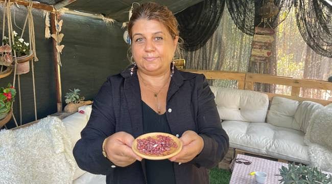 İş gezisinde tattı, bahçesinde çoğaltıp ücretsiz dağıtmaya başladı