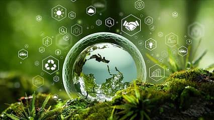 Doğaya nefes, ekonomiye can: 613 milyon ağaç kesilmekten kurtarıldı