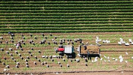 Kırsal kalkınmaya 12,5 milyar TL hibe desteği verilecek