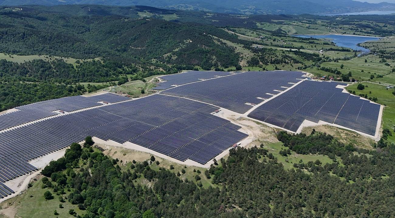 Ladik GES'te tıbbi aromatik bitki dönemi: Enerji ve tarım bir arada