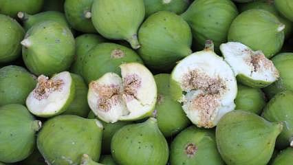 O sinekler olmazsa incir de yok: Aydın'da ilek sezonu açıldı! Kilosu 500 TL'den alıcı buluyor