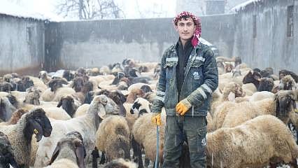 Hayvancılıkta destekler meyvesini veriyor, gençler köyünde kalıyor