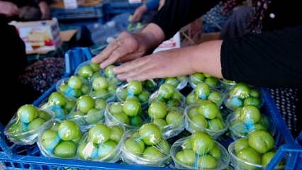 Mut'ta erik hasadı başladı: 110 ton rekolte bekleniyor