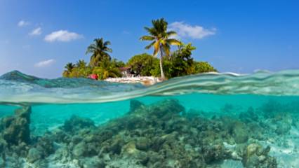 İklim değişikliği neden oldu: Yeryüzü cennetinde mercan alarmı
