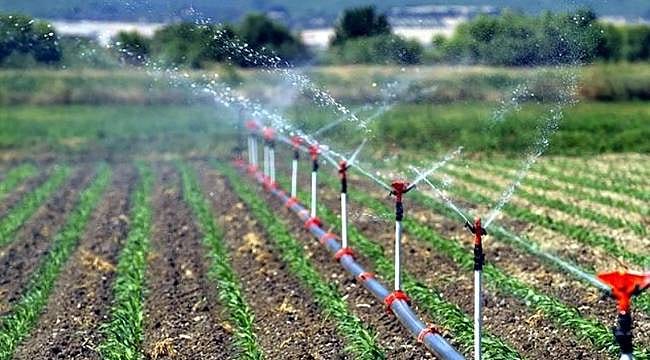 Tarımsal destek başvuruları 30 Haziran’a uzatıldı