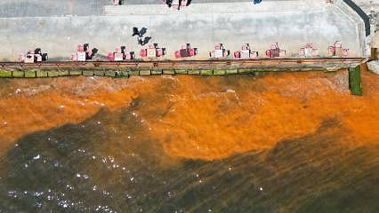 Detaylar: Marmara'nın rengi değişti: Tekirdağ sahili turuncuya boyandı