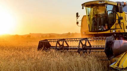 Türkiye’den tarımda güçlü performans: 7 üründe zirveyi gördü