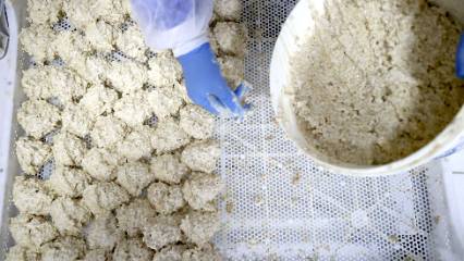 Üç kuşaktır üretilen Osmanlı mirası tarhana dünya pazarına açılacak